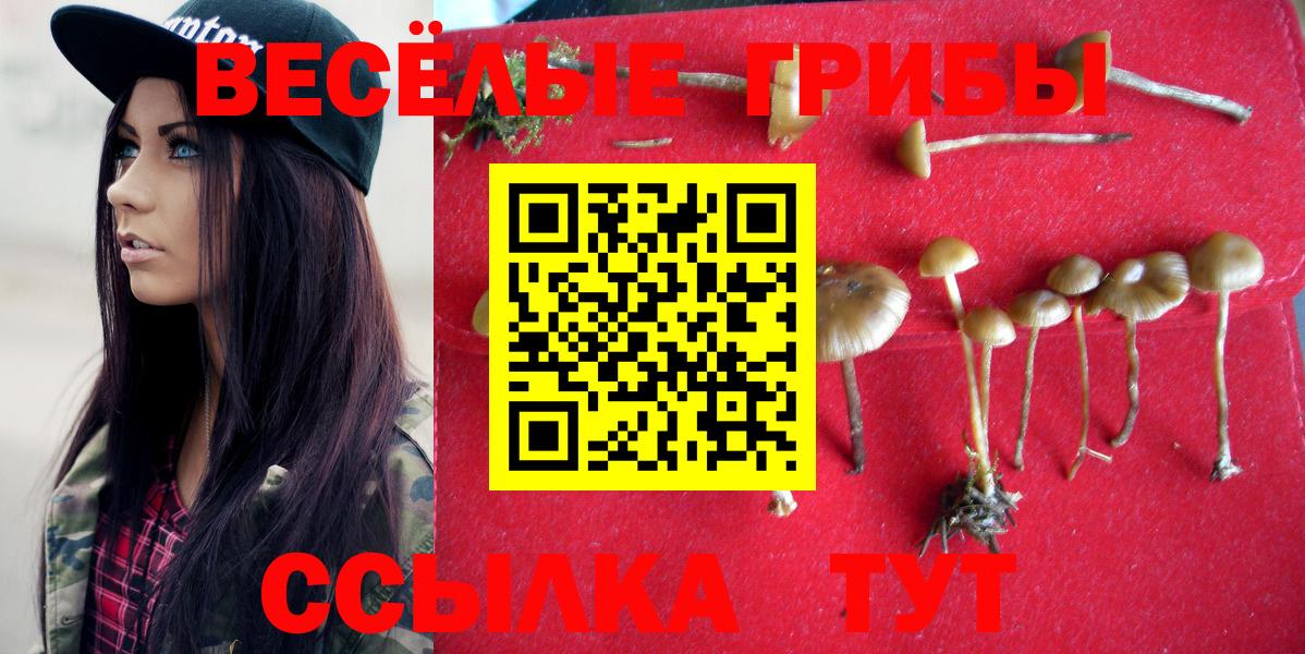 Галлюциногенные грибы Psilocybe  Вход с VPN  Сызрань 