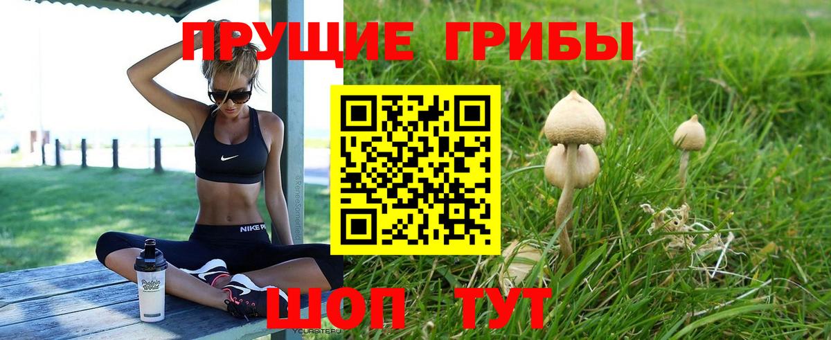 Псилоцибиновые грибы мухоморы Сызрань